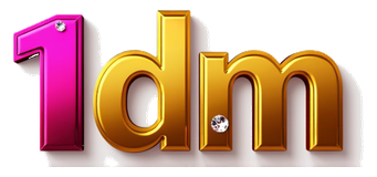 1dm